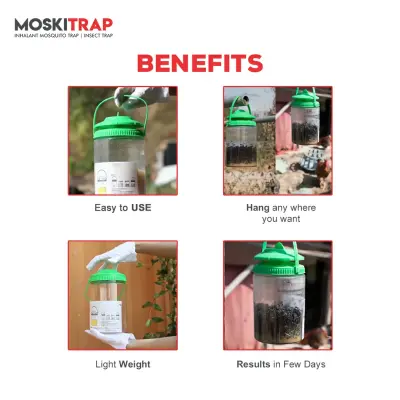 Fly Catcher Outdoor GW013