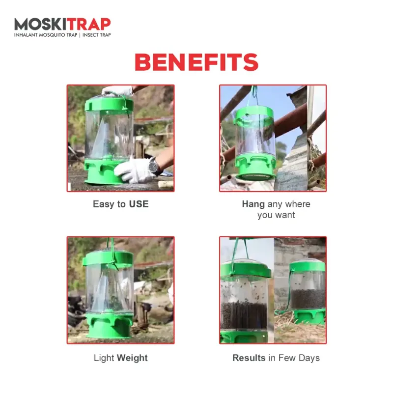 Fly Catcher Outdoor GW019