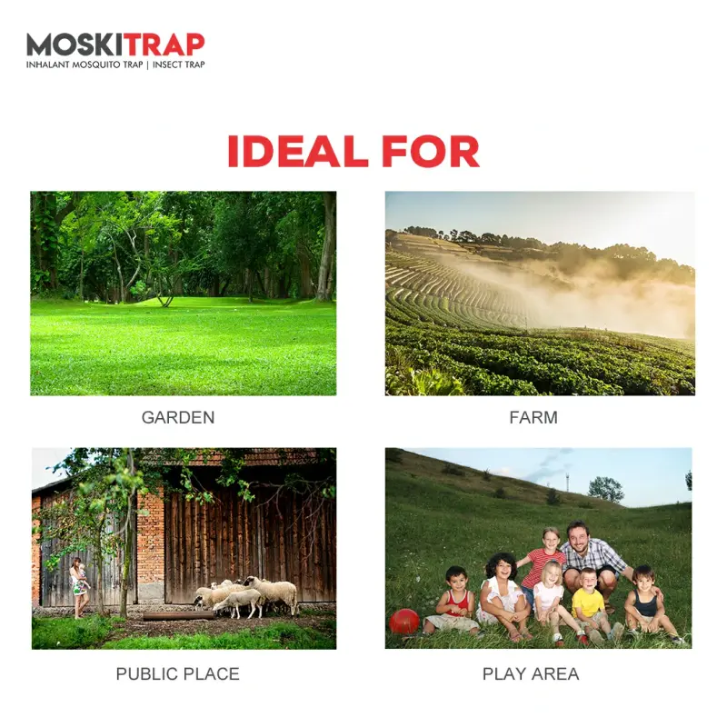 Fly Catcher Outdoor GW019