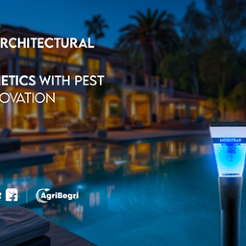 Enhancing Architectural Excellence