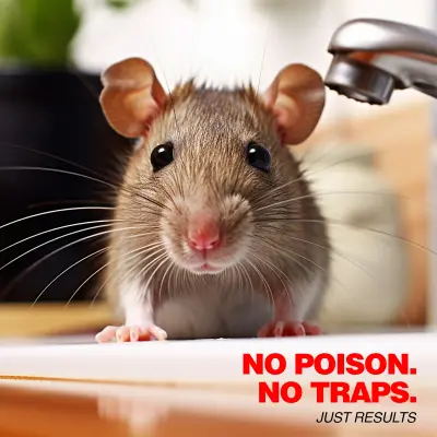 PNT1100 ULTRASONIC Ultimate Mini Super Repeller