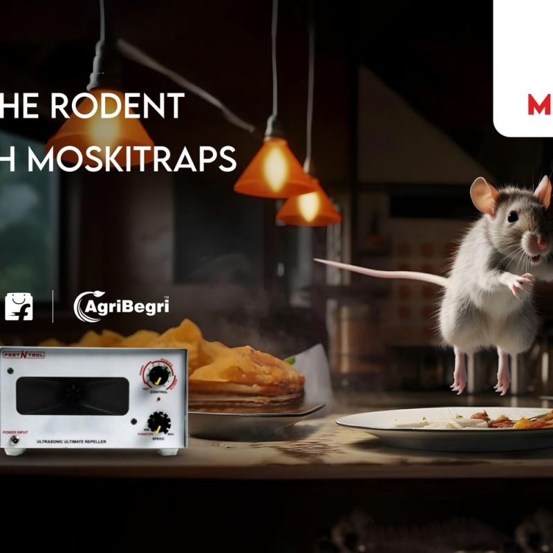 Defeating the Rodent Menace with Moskitraps