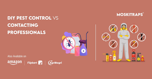 DIY Pest Control vs Contacting Professionals