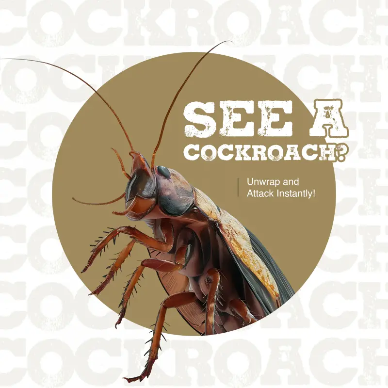 Cockroach Trap NC008