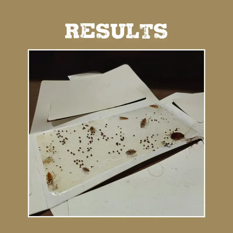 Cockroach Trap NC008