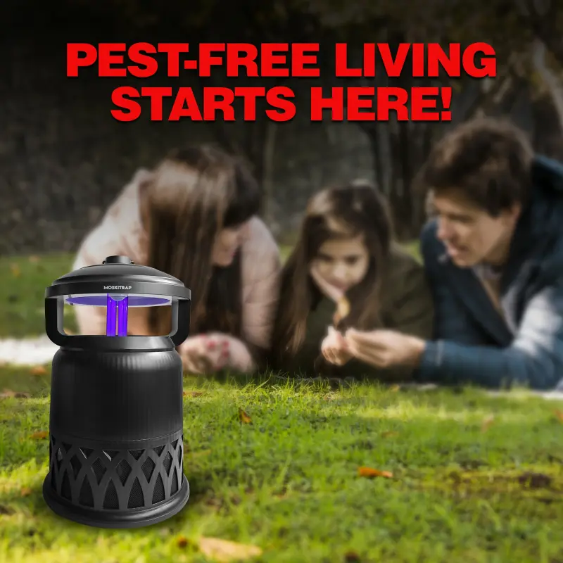 Mosquitoes Trap MG967