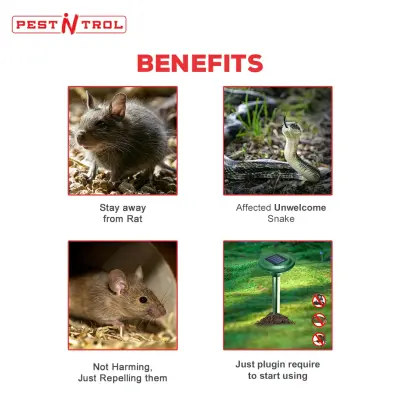 3 In 1 Solar Mole Repeller